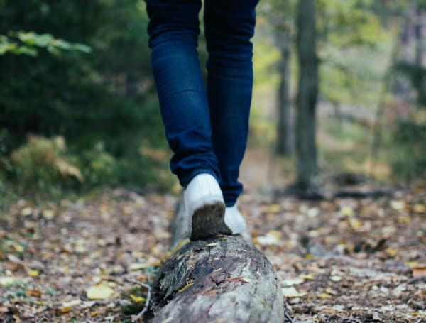 Scouts, their leaders, and family members will participate in a 40-mile hike on Saturday, Feb. 4, to bring awareness of the plight of hungry families in our community while also assisting with restocking local food pantries.