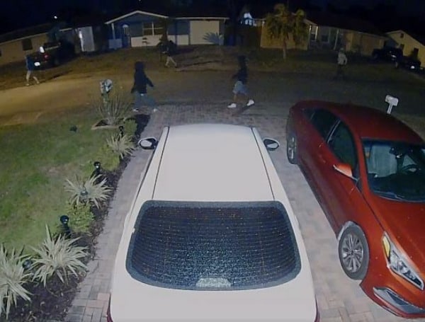 Pasco Sheriff's Office is seeking the public's help in identifying at least seven suspects in more than 30 car burglaries and stolen cars. 