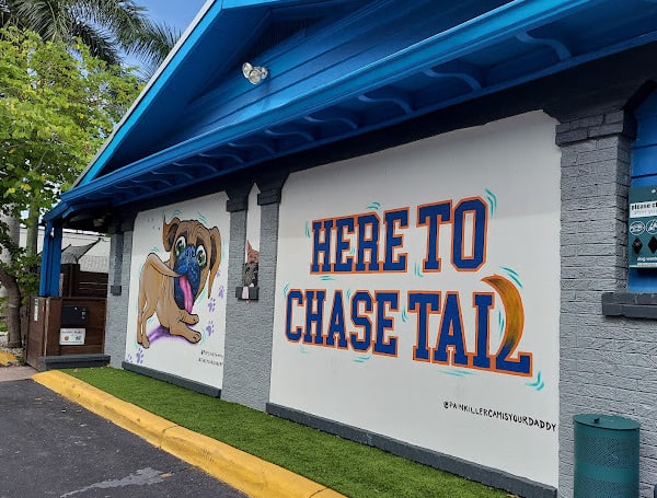 Bars in Tampa and Orlando are challenging the Florida Department of Health over decisions to block dogs from being in the establishments.