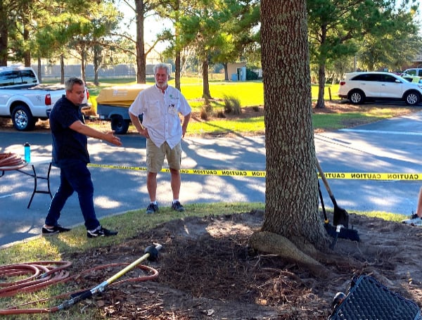 2. Andrew Koeser, UF/IFAS associate professor of environmental horticulture and a co-author of the study, conducts urban tree research. Credit: Deb Hilbert.