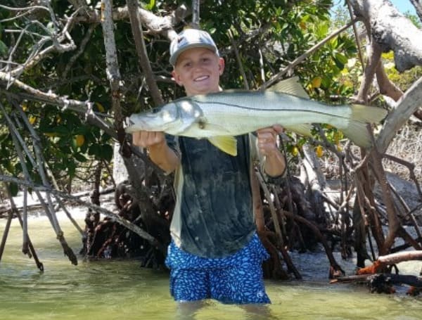 FWC Florida Snook