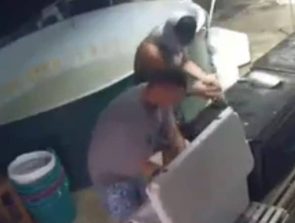 Florida Fish Fillet Thieves (MCSO)