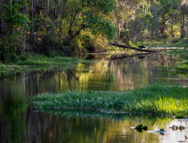 Land Conservation