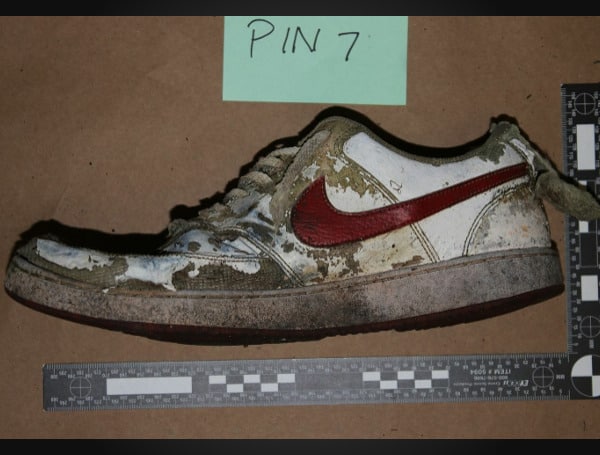 Bones Found Pasco County