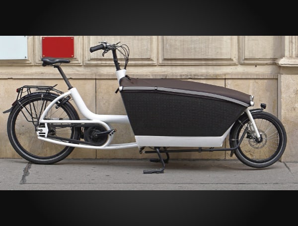 Electric Cargo Bike Market