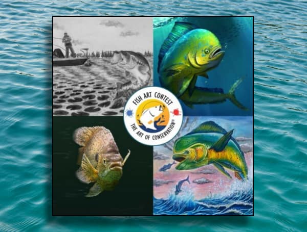 The Florida Fish and Wildlife Conservation Commission (FWC), in partnership with Wildlife Forever, is eager to announce the winners of the Florida State Fish Art Contest this year. 