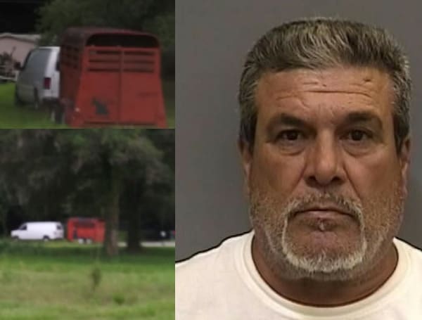 A Wimauma man will spend two years in a Florida State Prison for various crimes, including stealing horses and possessing an alligator.