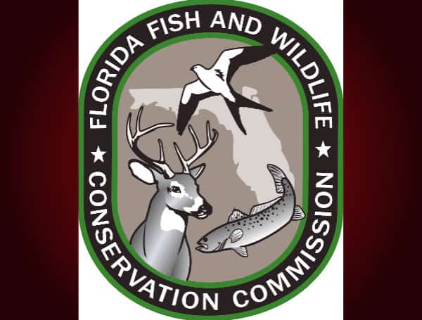 The Florida Fish and Wildlife Conservation Commission (FWC) seeks two qualified individuals to work at the interface between anglers and fisheries to manage, enhance, and promote freshwater fishing opportunities in Southwest Florida’s aquatic resources.