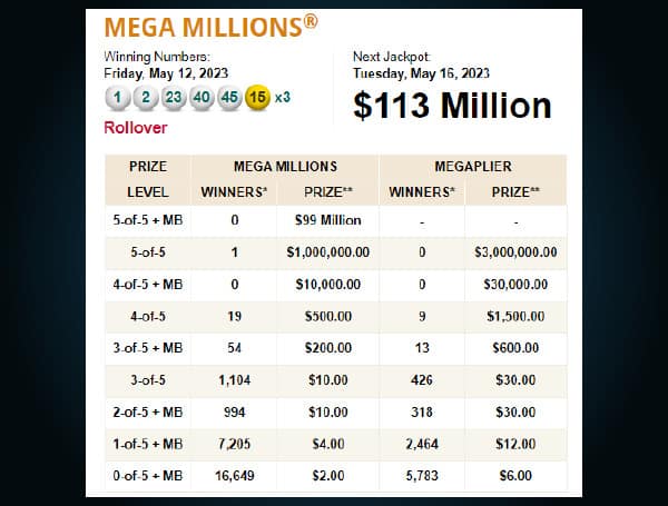 One lucky Mega Millions player in Florida matched all five of the winning numbers from Friday's Mega Millions drawing, cashing in on a $1,000,000 win,