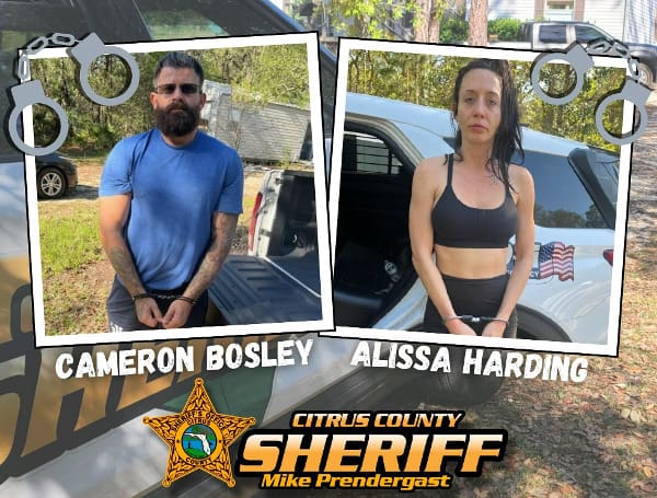 A Florida man and woman were arrested after deputies executed a search warrant and shut down their illegal grow house.