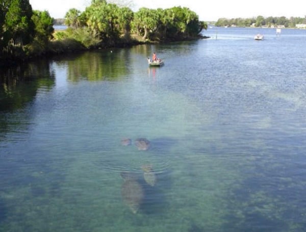 The Florida Fish and Wildlife Conservation Commission (FWC) will conduct aquatic plant control in portions of Lake Rousseau the week of May 15, weather permitting.