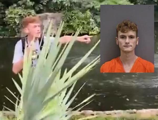 The man who entered a Busch Gardens alligator enclosure last Wednesday and posted the video to social media has been arrested.