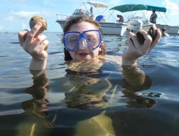 The 2023 recreational bay scallop season in the Fenholloway River through the Suwannee River Zone opens June 15 and will remain open through Labor Day (Sept. 4).