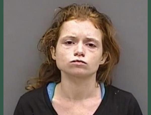 HILLSBOROUGH COUNTY, Fla - The Hillsborough County Sheriff's Office has announced new charges against a woman arrested on May 19, 2023. That day, HCSO responded to an emergency call in the 10000 block of US Hwy. 301 for reports of a two-year-old child in distress. 