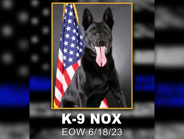 SARASOTA COUNTY, Fla. - With a heavy heart, Sarasota County Sheriff Kurt A. Hoffman announces the death of K-9 Nox, who died unexpectedly last week due to a medical episode.
