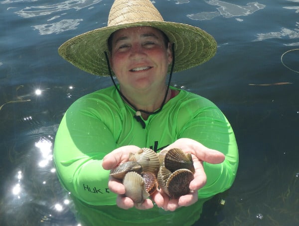 The 2023 recreational bay scallop season for Franklin, Wakulla, Jefferson, and a portion of northwest Taylor, Levy, Citrus, and Hernando counties opens July 1 and will remain open through Sept. 24.