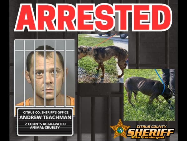 CITRUS COUNTY, Fla - A Citrus County man has been arrested on 2-counts of animal cruelty after deputies discover two dogs extremely emaciated.