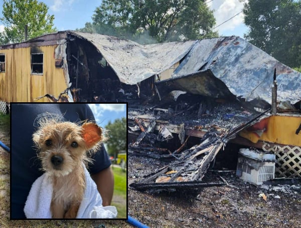 TAMPA, Fla. - Hillsborough County Firefighters rescued three dogs this week from a fire that ripped through a mobile home.