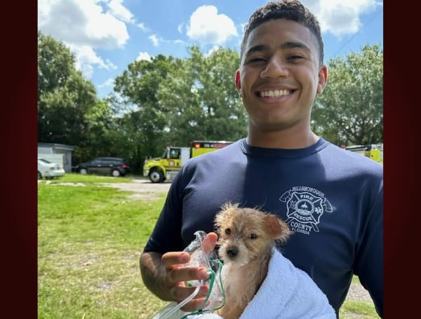 TAMPA, Fla. - Hillsborough County Firefighters rescued three dogs this week from a mobile home fire with the home being a total loss.