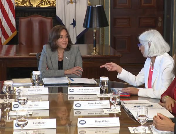 Vice President Kamala Harris stumbled her way through a discussion about artificial intelligence (AI) with civil rights and consumer protection experts on Wednesday.
