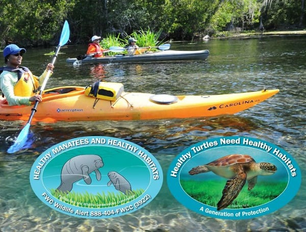 The Florida Fish and Wildlife Conservation Commission (FWC) is unveiling its new 2023 manatee and sea turtle decals. New editions of these high-quality collectible stickers are released every July and are available with a $5 donation at your local tax collector’s office.