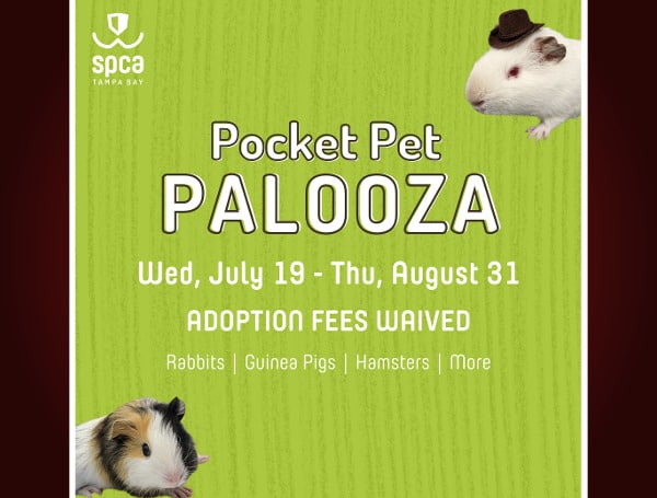 LARGO, Fla. - SPCA Tampa Bay is waiving adoption fees during its Pocket Pet Palooza from Wednesday, July 19, through Thursday, August 31, for certain pocket pets and livestock.
