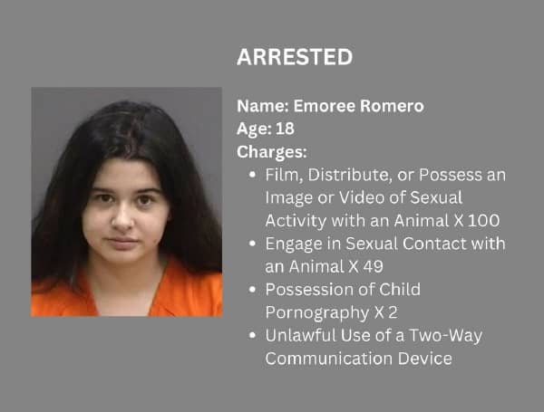 HILLSBOROUGH COUNTY, Fla. - A Brandon woman is facing more than a hundred charges for various sex crimes, including possession of child and animal pornography. 