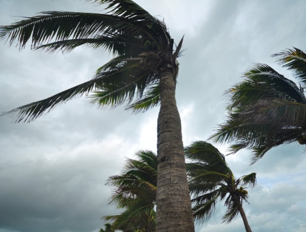 Florida Insurance Commissioner Michael Yaworsky on Friday issued an order that will temporarily prevent property insurers from dropping customers in areas affected by Hurricane Idalia. 
