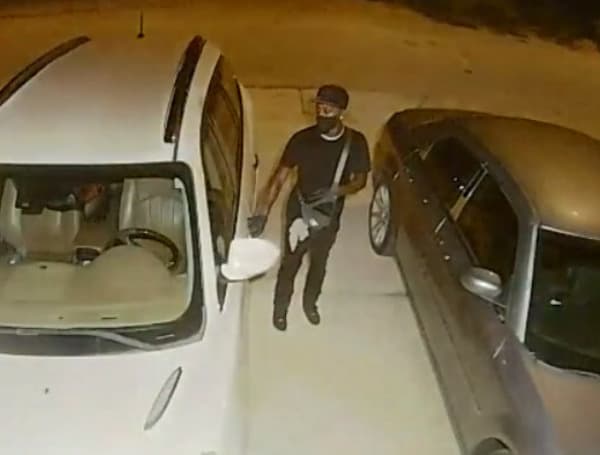 PORT RICHEY, Fla. - Pasco Sheriff's deputies are seeking the public's help in identifying a suspect in Port Richey attempted vehicle burglaries.