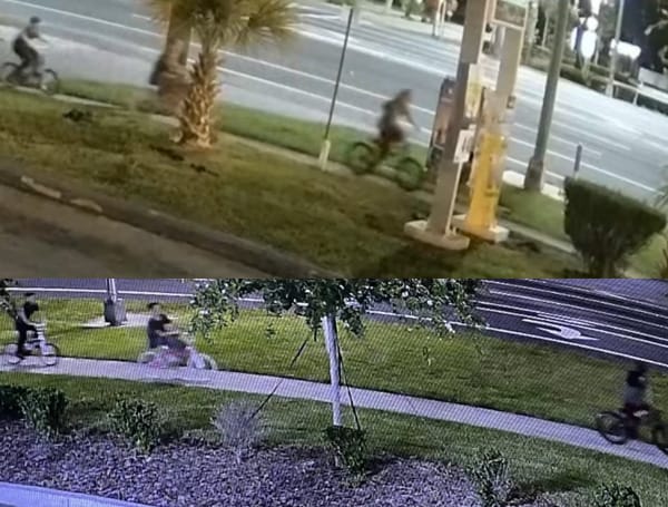 PORT RICHEY, Fla. - Pasco Sheriff's Office is seeking the public's help in identifying 3 juvenile suspects that damaged a business in Port Richey.