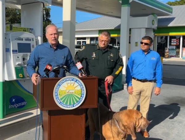 Florida Commissioner of Agriculture Wilton Simpson and Brevard Sheriff Wayne Ivey held a press conference Friday in Titusville, Florida, to stress the importance of parents' and caregivers’ role in preventing vehicular heatstroke fatalities.