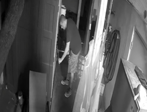 TAMPA, Fla. - Tampa Police Detectives are currently investigating a commercial burglary and are seeking the assistance of the local community to identify the individuals involved.