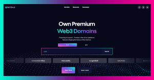 19040885 netzylo ai powered web3 domain 300x157 1
