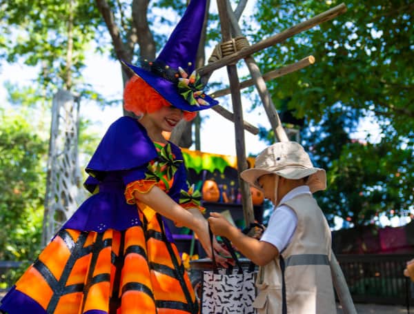 TAMPA, Fla. - Starting this Saturday, guests looking for family-friendly fun will be in for quite the treat at Busch Gardens’ Spooktacular.