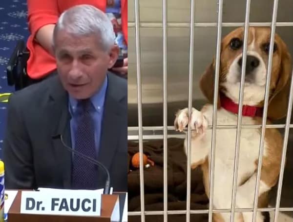 The watchdog group that dogs the federal government for its wasteful spending on scientific experiments on animals has recognized a handful of Florida Republicans for their efforts to protect taxpayers.