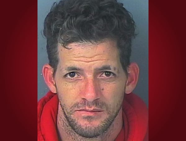 A Florida man has been sentenced to 12 years in prison following a burglary where he rammed his truck through an Ace Hardware location.