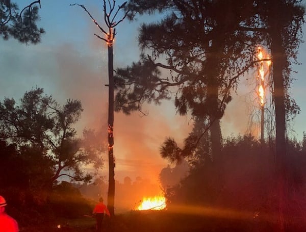 VENICE, Fla. - The Sarasota County Sheriff’s Office (SCSO) is currently assisting the Sarasota County Fire Department (SCFD), Venice Police Department (VPD), and the Florida Forest Service to contain numerous brush fires at Caspersen Beach in Venice. 