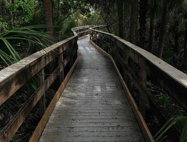 Everglades Trail (File)