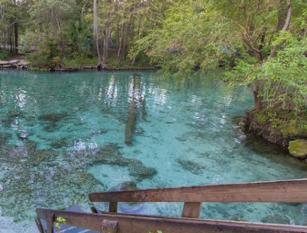 Ginnie Springs and Seven Springs Water Company