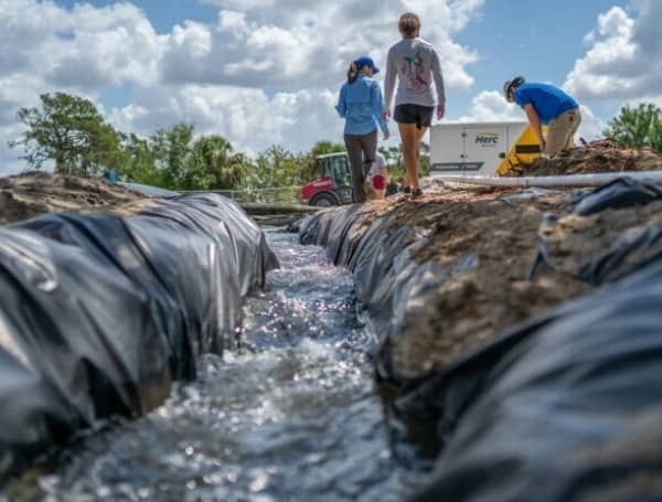 FWC completes habitat restoration at Warm Mineral Springs. Photo by Katie Bryden