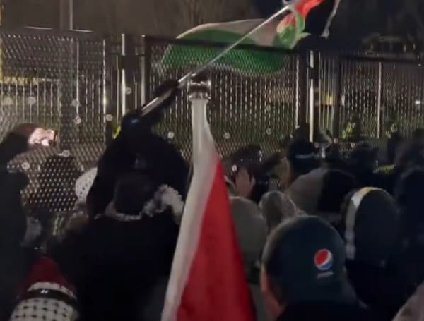White House Staff Relocated After Pro-Palestinian Scale Fence Chanting "F**K Joe Biden"
