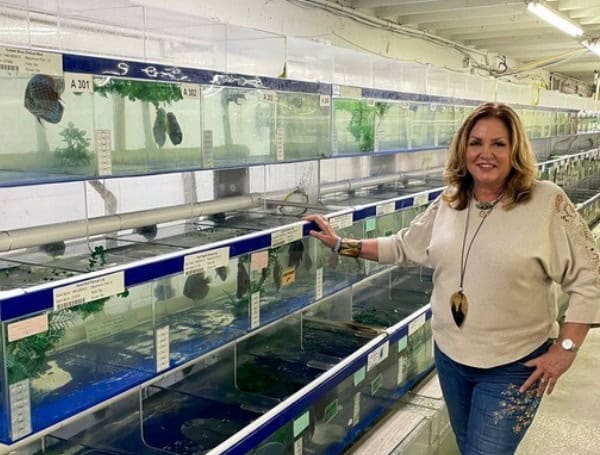 Sandra Moore is the first Woman of the Year winner representing the tropical fish industry.