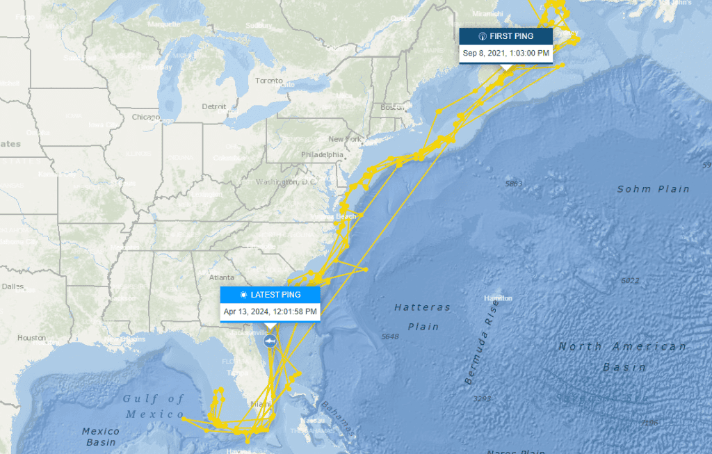 Scot's Ping And Travels (OCEARCH)