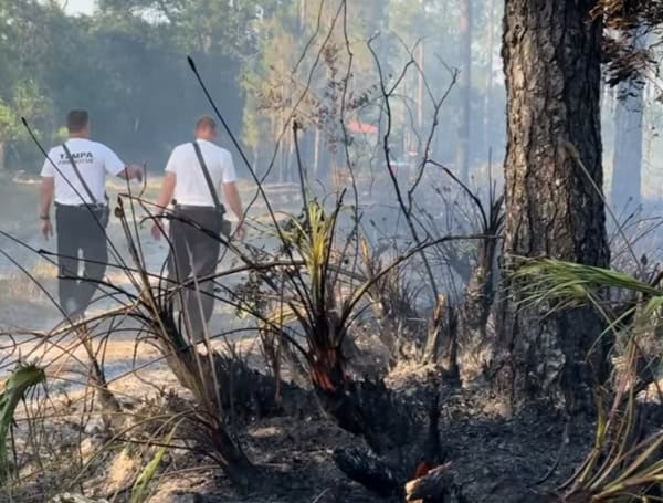 Tampa Fire Rescue Responds To Brush Fire In Flatwoods Park